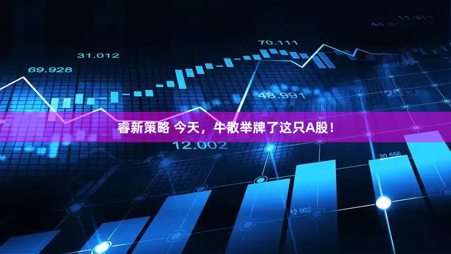 睿新策略 今天，牛散举牌了这只A股！