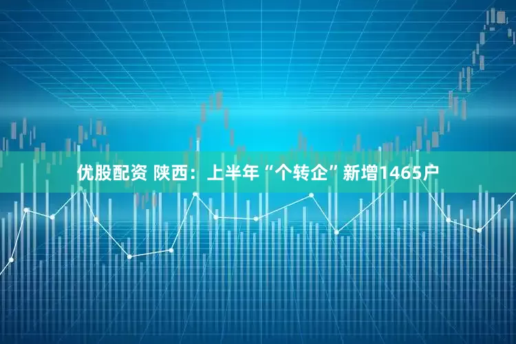 优股配资 陕西：上半年“个转企”新增1465户