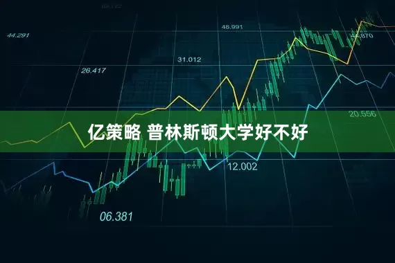 亿策略 普林斯顿大学好不好