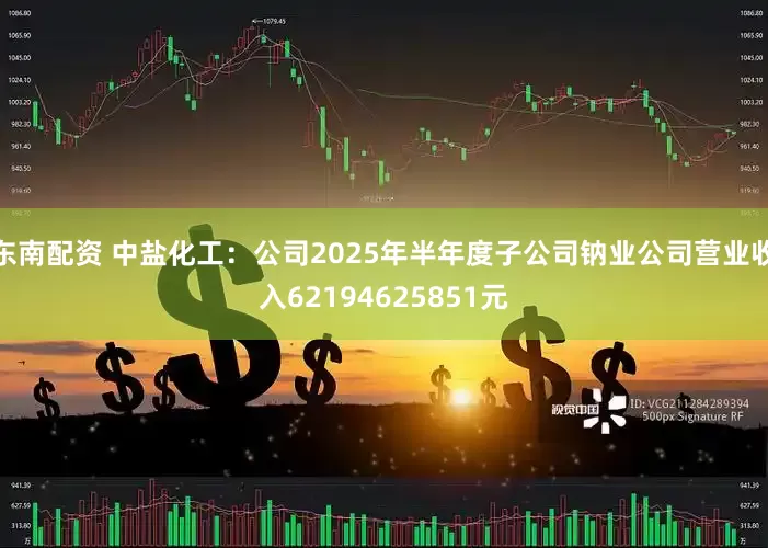 东南配资 中盐化工：公司2025年半年度子公司钠业公司营业收入62194625851元