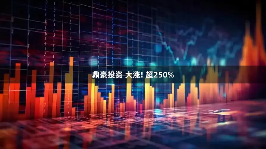 鼎豪投资 大涨! 超250%