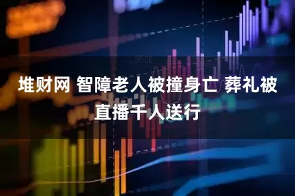 堆财网 智障老人被撞身亡 葬礼被直播千人送行